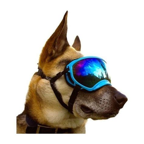 Rex specs - Rex Specs V2 Dog Goggles. Protective eyewear for your 4 legged friend! These goggles will protect your dog's eyes from UV rays and debris. They also add infinite cool points for your dog's gear set-up! Pro-tip: if you let your dog ride with their head out the window of your car, you NEED these and your dog will love you for it. The goggles come ... 
